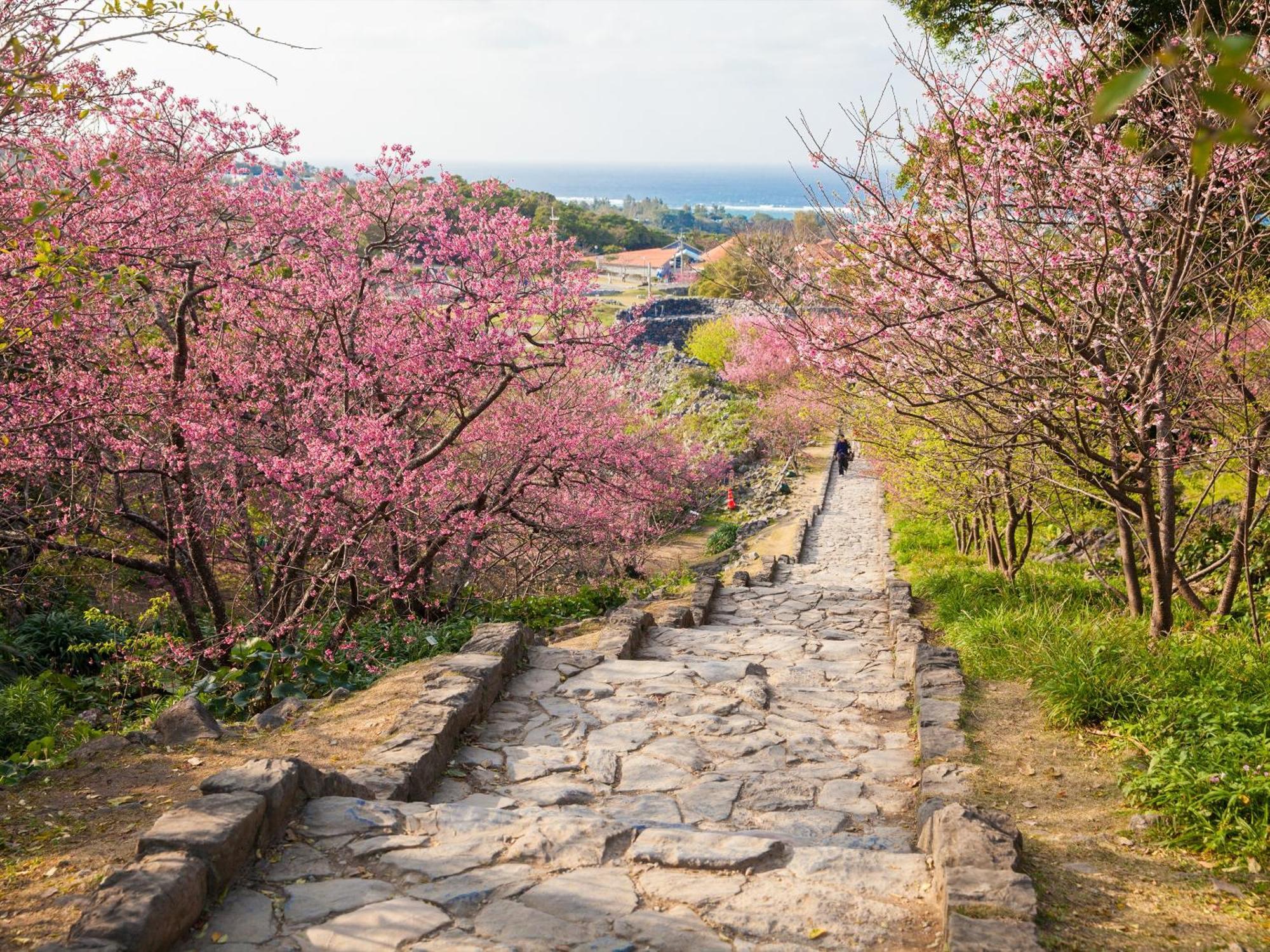 プールヴィラ 古宇利島 By コルディオスマートリゾート Nakijin Bagian luar foto